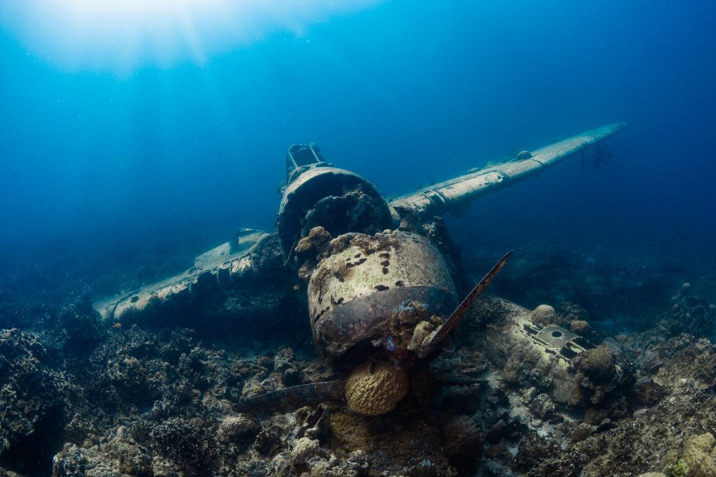 Underwater plane wreck