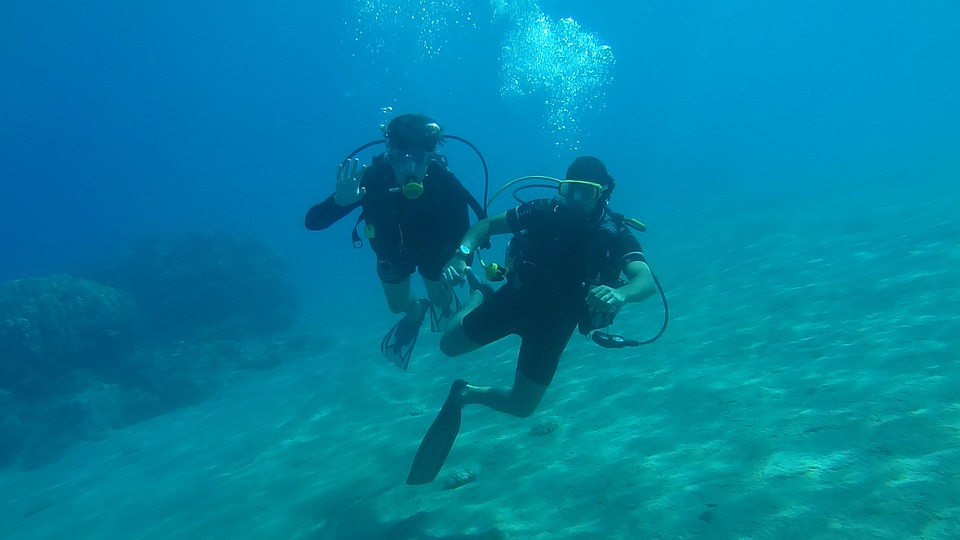 scuba diving partners