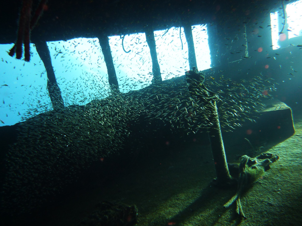Inside underwater wreck