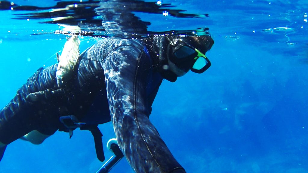 Five interesting things about scuba diving