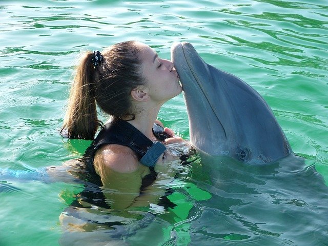 Do dolphins have a personality