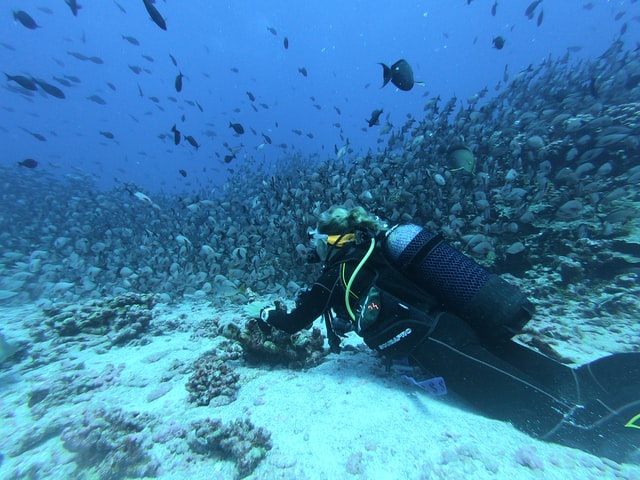Scientific diving